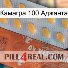 Камагра 100 Аджанта 43